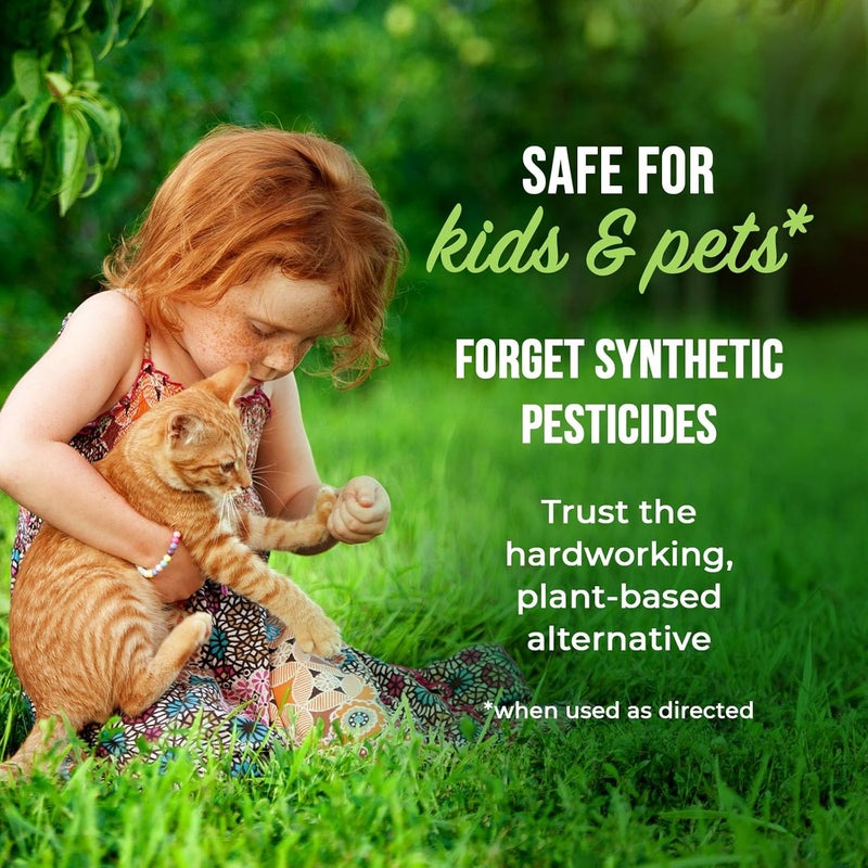 Mighty Mint رذاذ طارد الحشرات بزيت النعناع - تحكم في الحشرات داخل المنزل وخارجه للعنکبوت، النمل، الصراصير، وأكثر - تركيبة نباتية، قوية جداً - 16 أونصة - Image 5